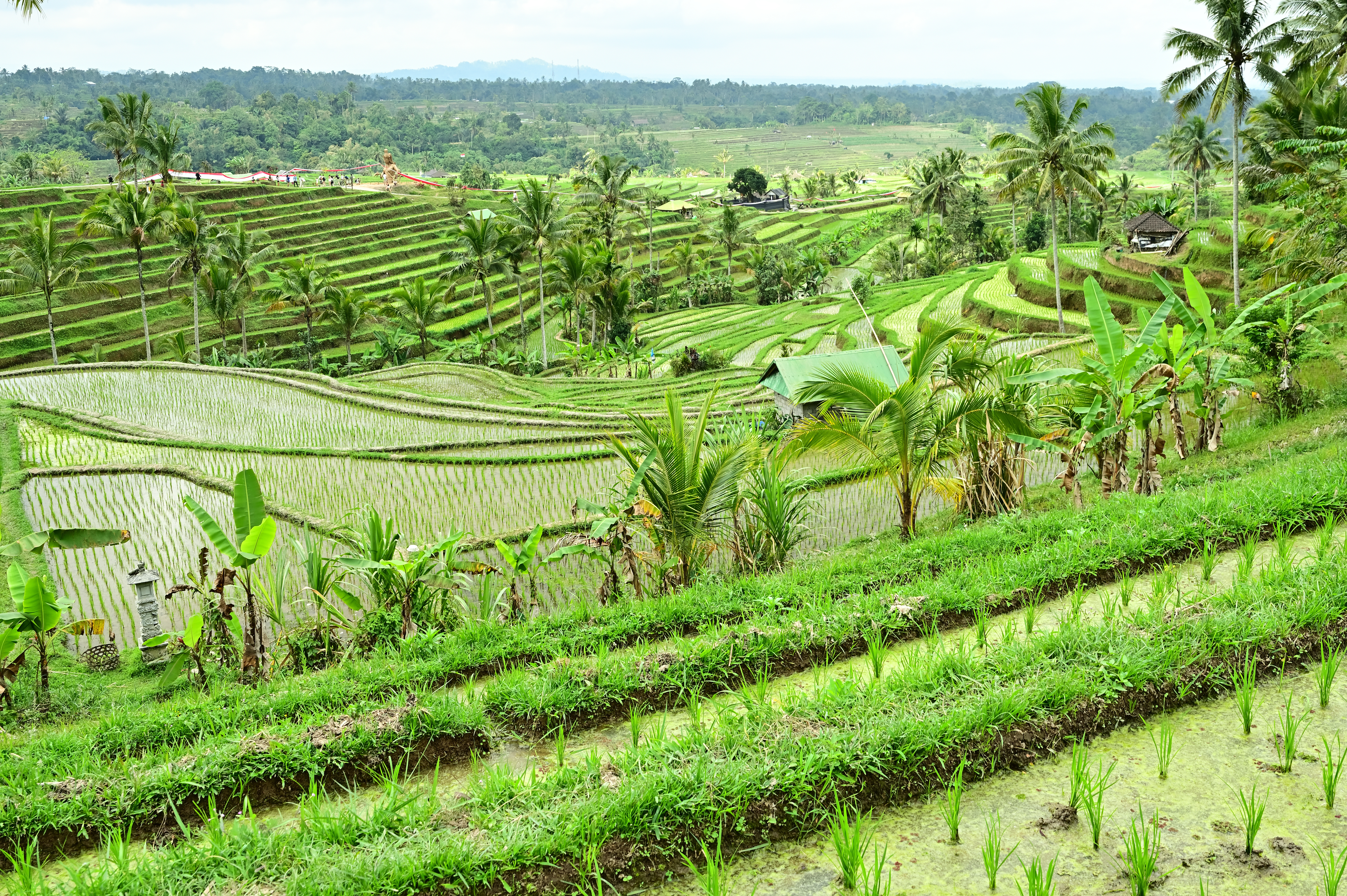 撮影：水咲奈々<br><span class="fnt-85">Nikon Z 6 / TAMRON SP 35mm F/1.4 Di USD＋マウントアダプター FTZ / 絞り優先AE（F11、1/50秒、±0EV） / ISO 100</span>