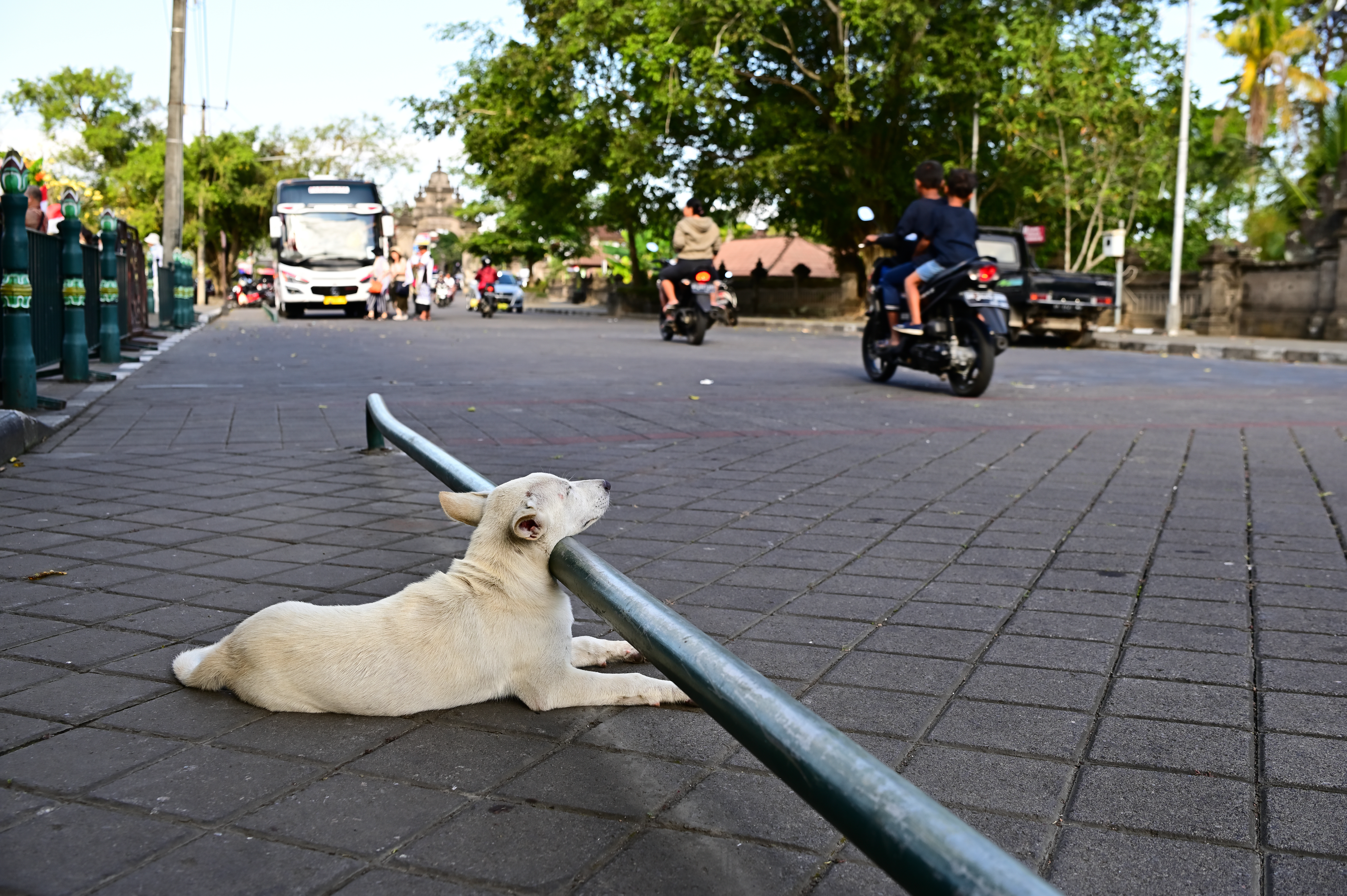 撮影：水咲奈々<br><span class="fnt-85">Nikon Z 6 / TAMRON SP 35mm F/1.4 Di USD＋マウントアダプター FTZ / 絞り優先AE（F5.6、1/200秒、±0EV） / ISO 100</span>
