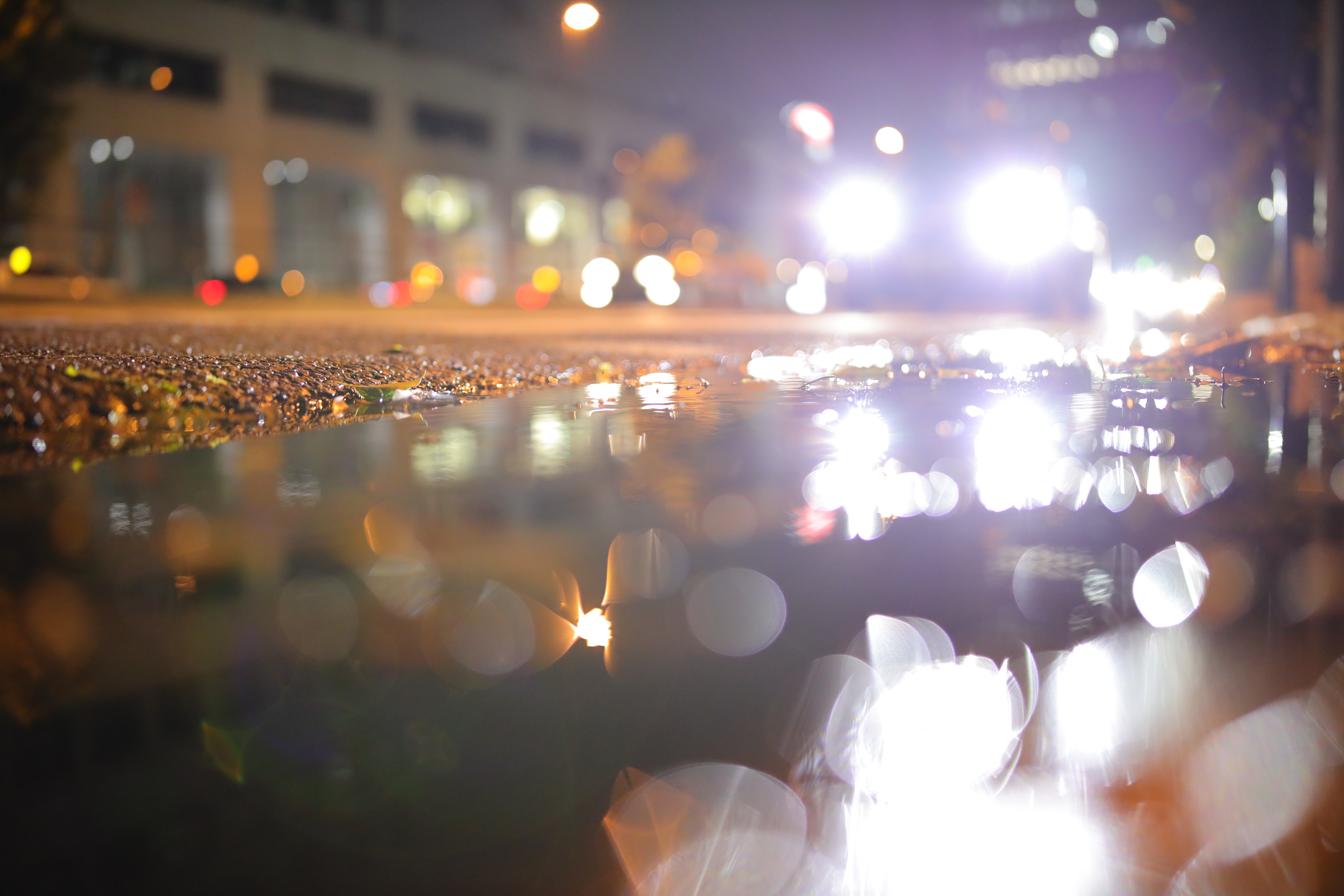 撮影：中原一雄<br><span class="fnt-85">Canon EOS R / TAMRON SP 35mm F/1.4 Di USD＋コントロールリングマウントアダプター EF-EOS R / 絞り優先AE（F1.4、1/160秒、+0.7EV） / ISO 4000</span>