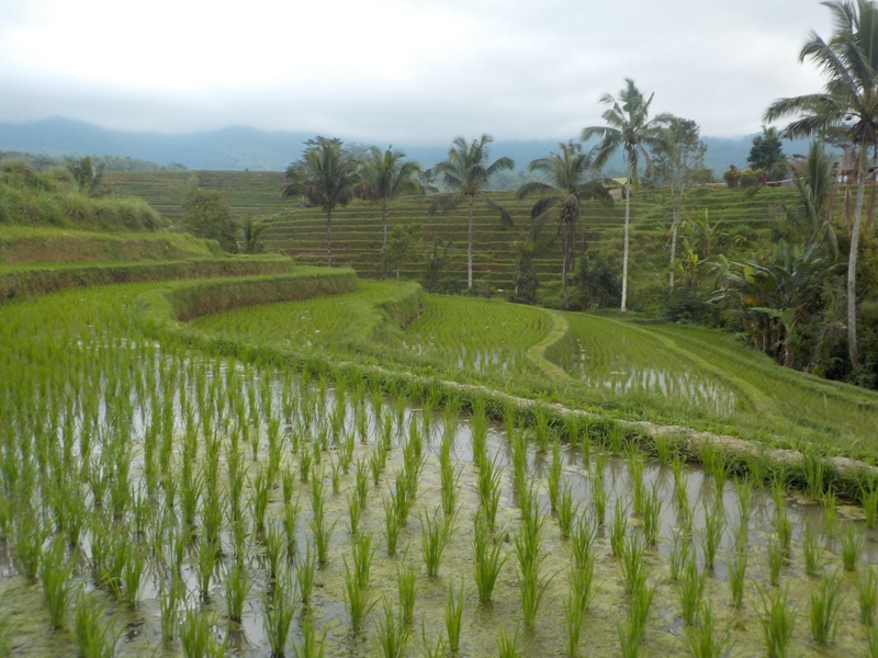 COOLPIX W150 / 30mm相当 / プログラムオート（1/250秒・F3.3・±0.0EV） / ISO 125