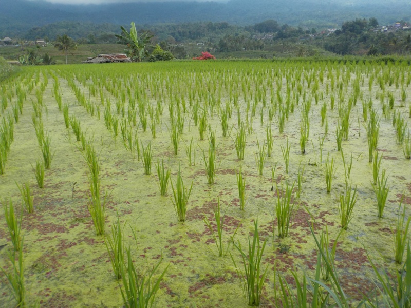 COOLPIX W150 / 30mm相当 / プログラムオート（1/500秒・F3.3・±0.0EV） / ISO 125