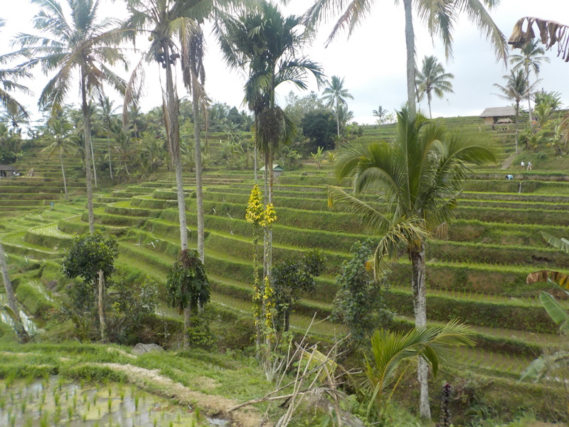 COOLPIX W150 / 30mm相当 / プログラムオート（1/200秒・F3.3・±0.0EV） / ISO 125