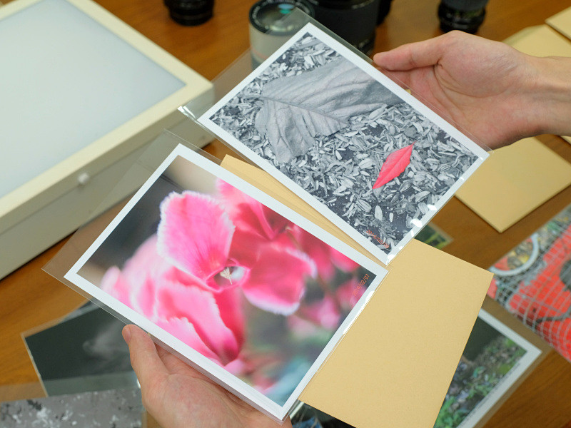 デジタルでの作品。接写リングやパートカラーといった効果を取り入れている