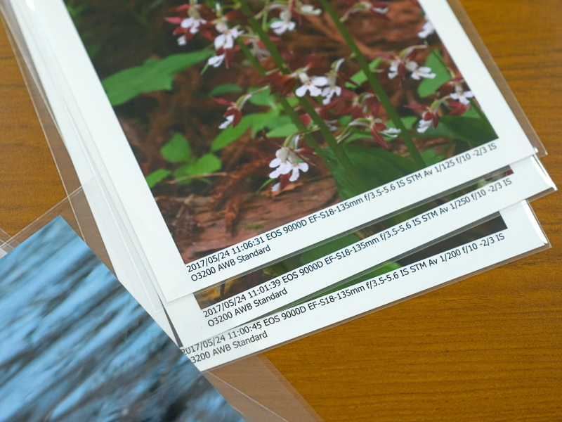 SDカードをプリンターに直接差し込んでプリントしているという