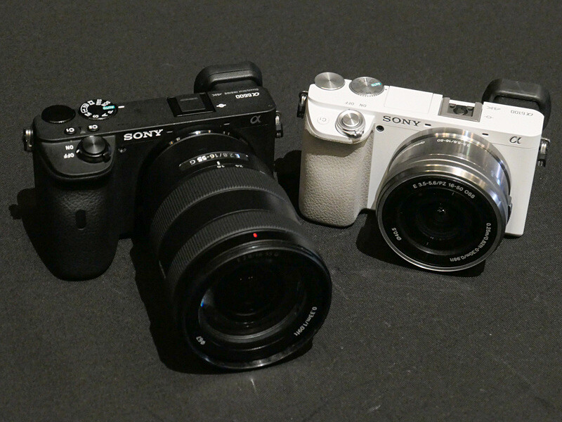 左からα6600、α6100。