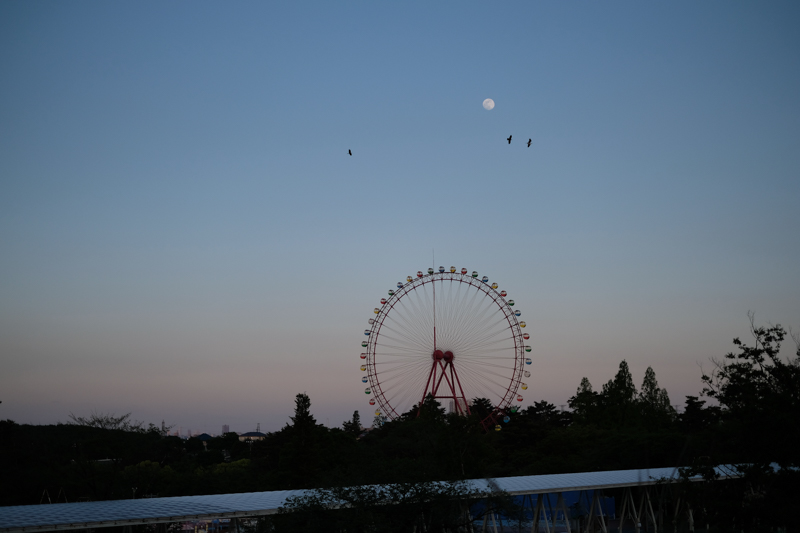西武園遊園地の観覧車。ここはかろうじて埼玉県<br><span class="fnt-85">X-Pro2 / XF35mmF1.4 R / 絞り優先AE（1/6,000秒・F1.4・±0EV） / ISO 200</span>