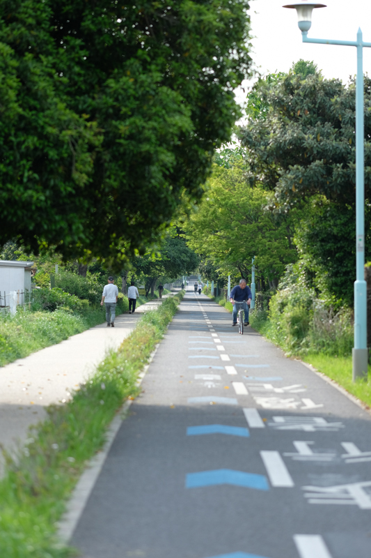 多摩湖自転車歩行者道。このまっすぐな道で時に800mダッシュを繰り返していた<br><span class="fnt-85">X-H1 / XF90mmF2 R LM WR / 絞り優先AE（1/1,250秒・F2.0・+0.3EV） / ISO 200</span>