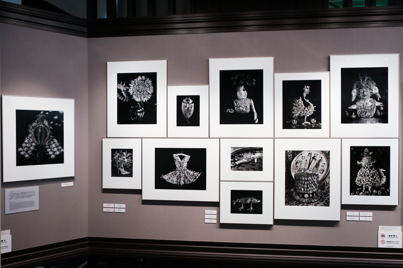 左側に配されている剣道面の作品は、今氏のセルフポートレート作品