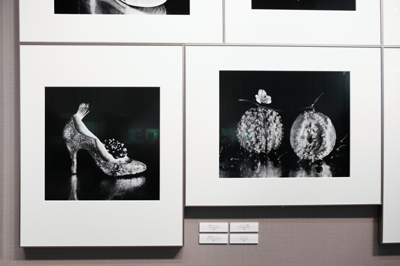 「鮭＋蝶＋ハイヒール」（左）、「タコ＋メロン」（右）