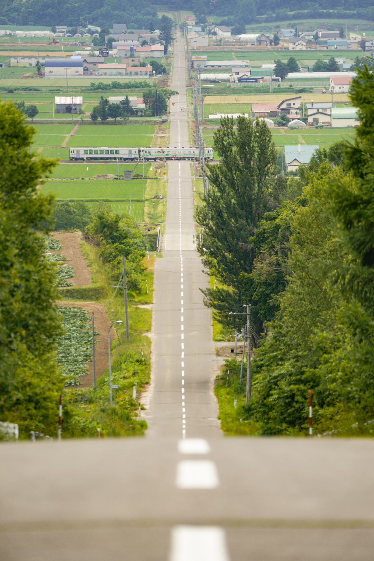 ソニーα7R IV　FE 100-400mm F4.5-5.6 GM OSS　（400mm）　絞り優先オート（F5.6、1/1,250秒）　ISO 200　WB:曇天