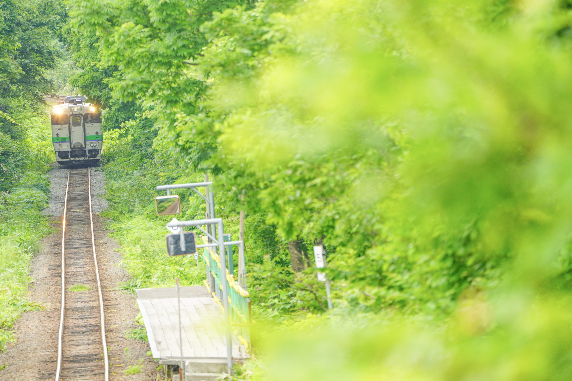 ソニーα7R IV　FE 100-400mm F4.5-5.6 GM OSS　（400mm）　絞り優先オート（F5.6、1/250秒）　ISO1600　WB:曇天