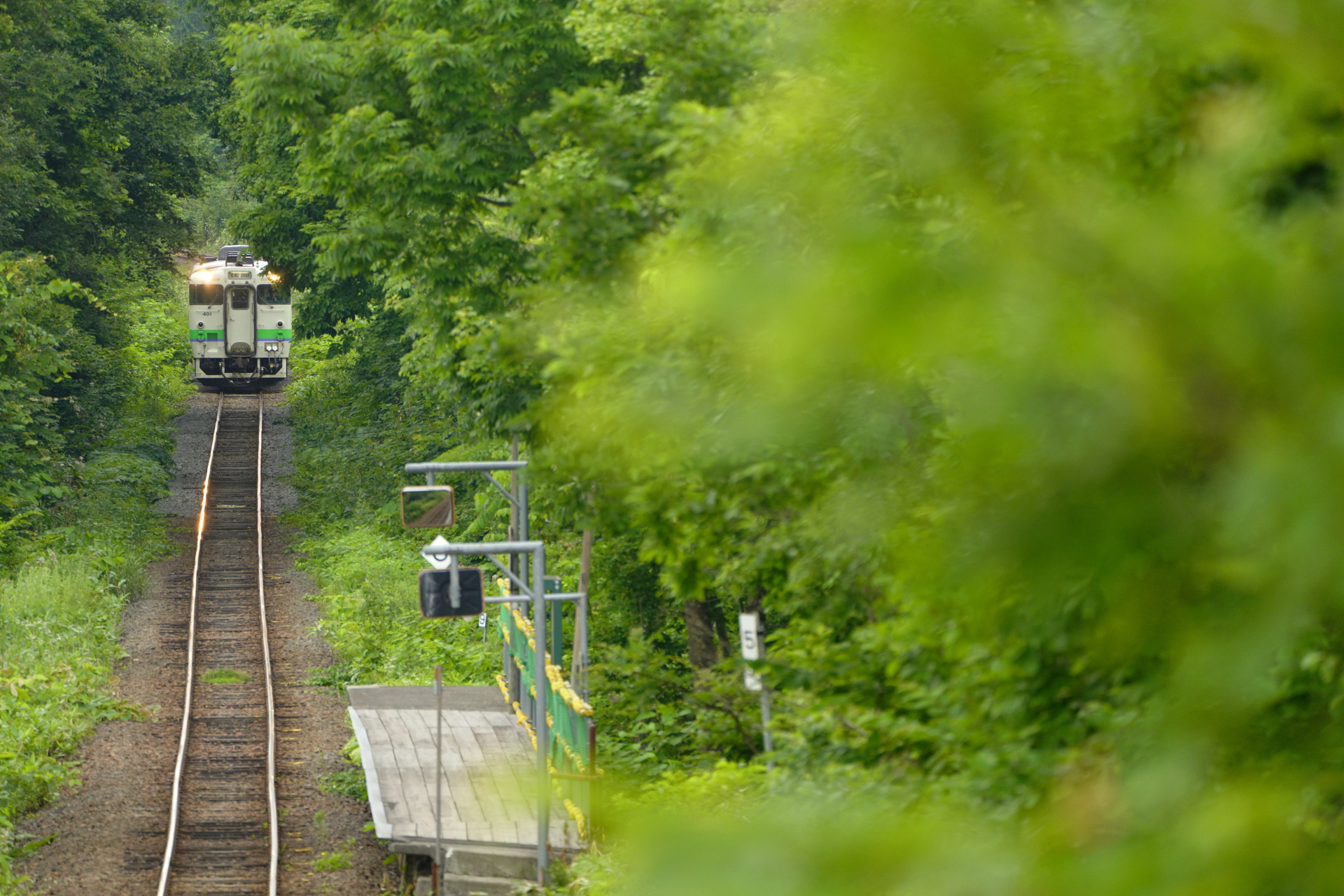 ソニーα7R IV　FE 100-400mm F4.5-5.6 GM OSS　（400mm）　絞り優先オート（F5.6、1/250秒）　ISO1600　WB:曇天