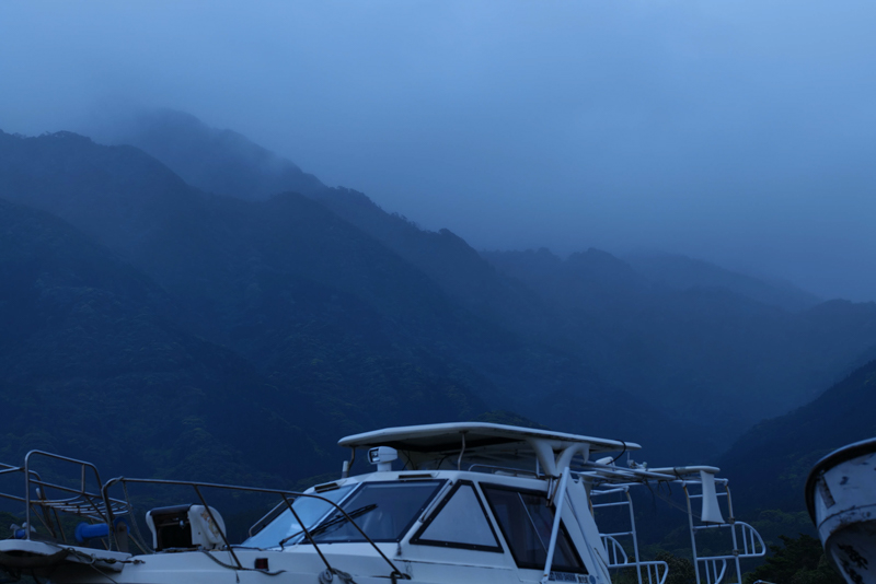 沖縄からのフェリーは夜明け前に着いた。しっとりと久しぶりの森が出迎える<br><span class="fnt-85">LUMIX S1R＋LUMIX S PRO 70-200mm F4 O.I.S. / 96mm / マニュアル露出（F7.1、1/6秒） / ISO 100 / 三脚使用</span>