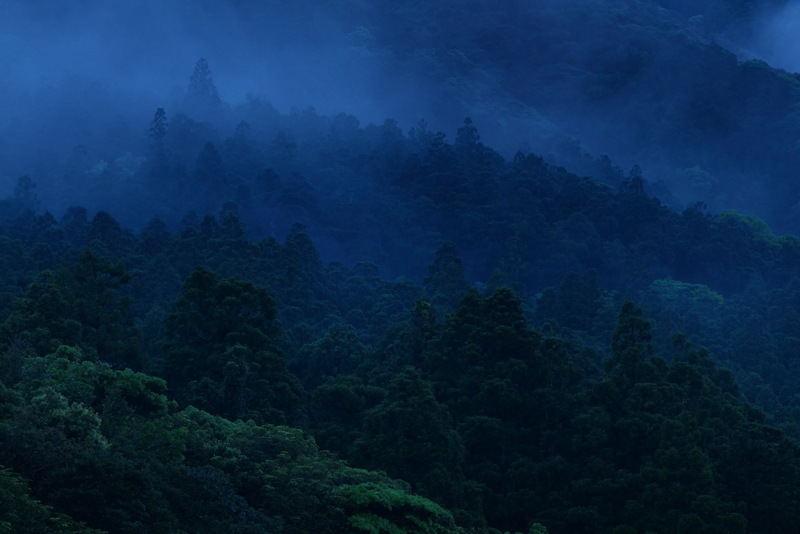 植林が多い里近くまで霧が降りてきた。谷筋の重なりが川数の多さを示す<br><span class="fnt-85">LUMIX S1R＋LUMIX S PRO 70-200mm F4 O.I.S. / 180mm / マニュアル露出（F7.1、1/30秒） / ISO 800</span>