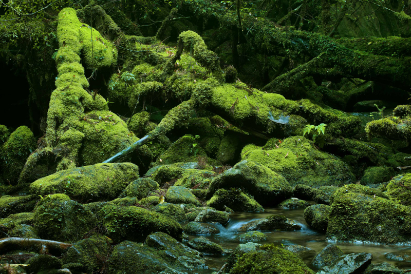 長い時間をかけて水は海へと向かう。花崗岩のミネラルを乗せて<br><span class="fnt-85">LUMIX S1R＋LUMIX S PRO 70-200mm F4 O.I.S. / 74mm / マニュアル露出（F16、0.77秒） / ISO 500 / 三脚使用</span>