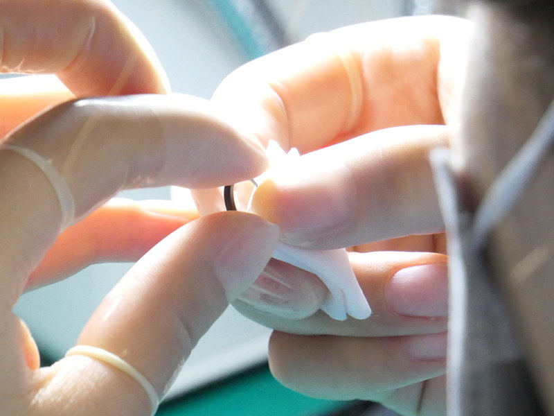 これまで筆者が見学したどの製造現場でも、こうした検査は女性が担当していた。