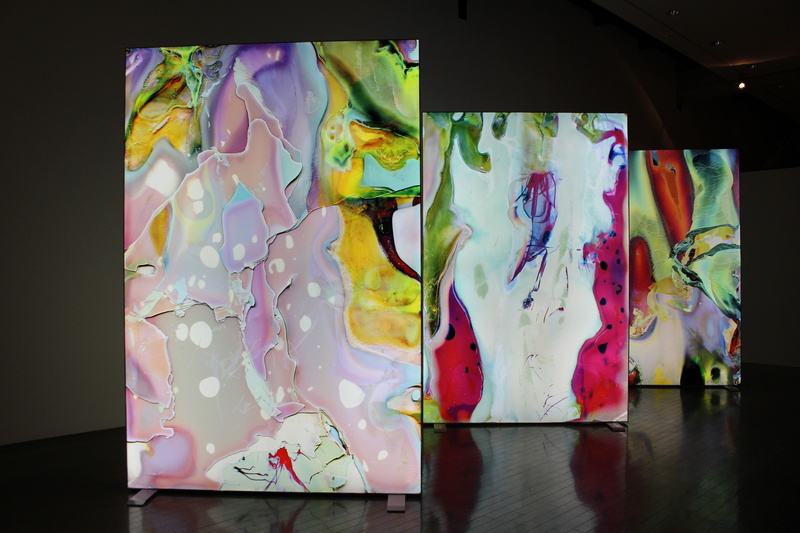 横田大輔「Color Photograph」