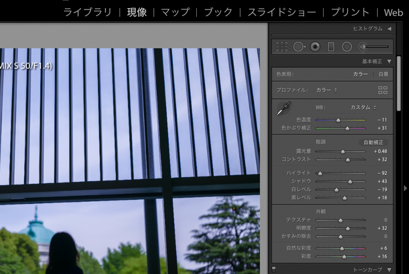 フレッシュ グリーンを適用した状態。パラメーターが細かく調整された状態になっていることがわかります