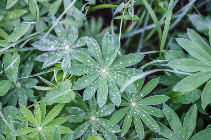 色温度を調整した状態