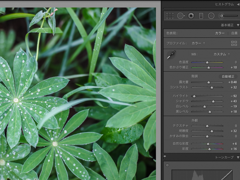 パラメーターの調整状態