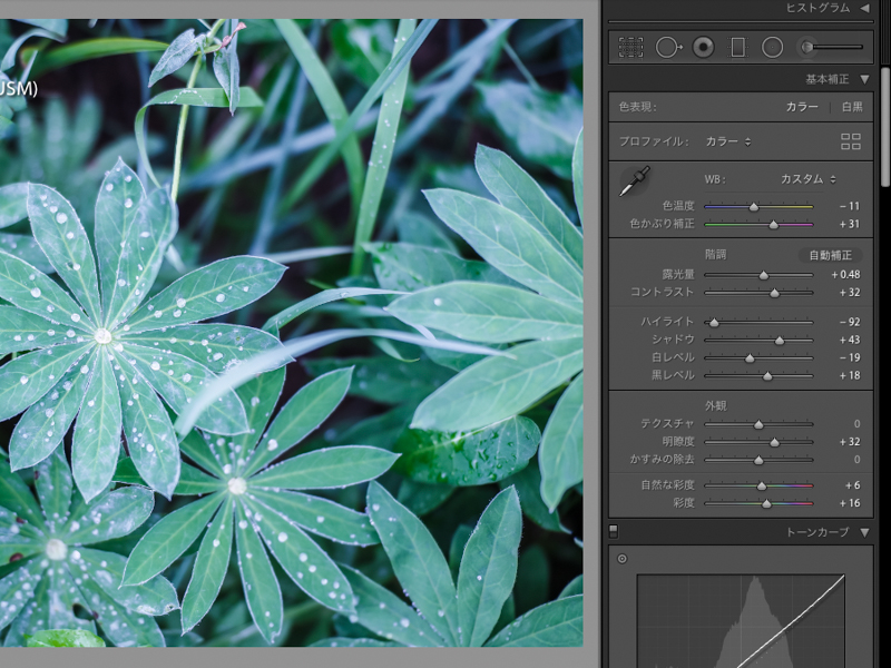 プリセットをあてた直後のパラメーター（一部）