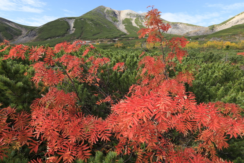 撮影：秦達夫さん