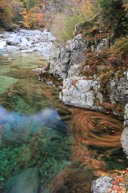 撮影：秦達夫さん