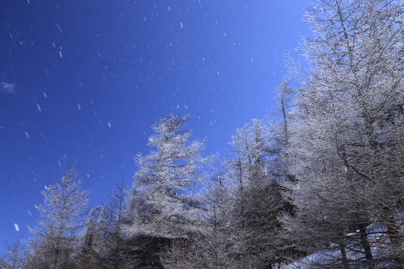 撮影：秦達夫さん