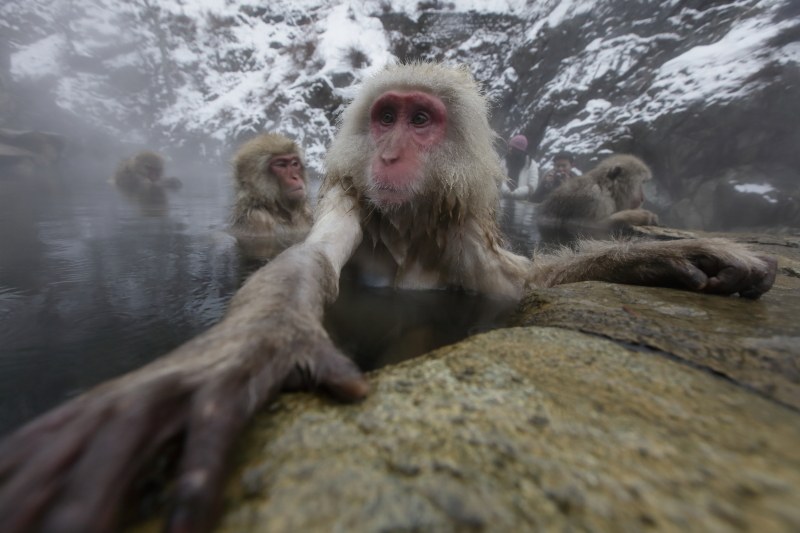 撮影：秦達夫さん