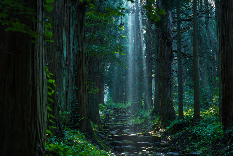 「癒やし・アウトドア」部門グランプリ　撮影：片平和生さん