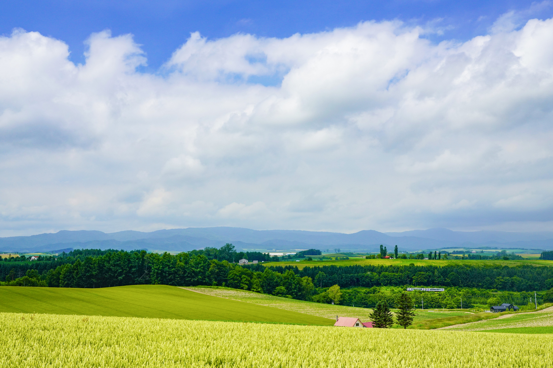 ソニーα7R IV　FE 24-70mm F2.8 GM　（39mm）　露出マニュアル　（F5.6、1/1,600秒）　ISO 400　WB:太陽光