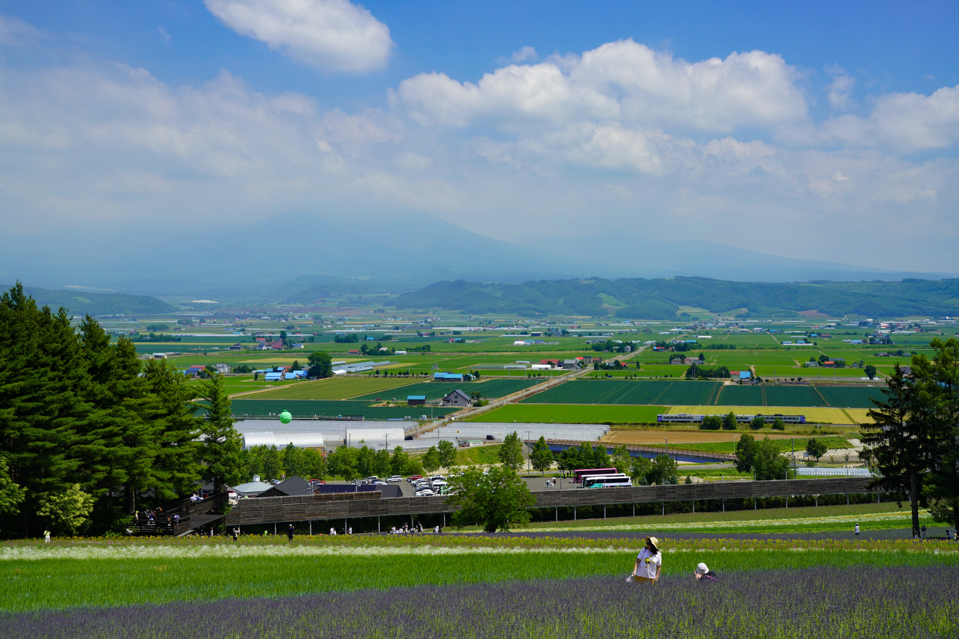 ソニーα7R IV　FE 24-70mm F2.8 GM　（47mm）　露出マニュアル　（F8、1/640秒）　ISO 400　WB:太陽光