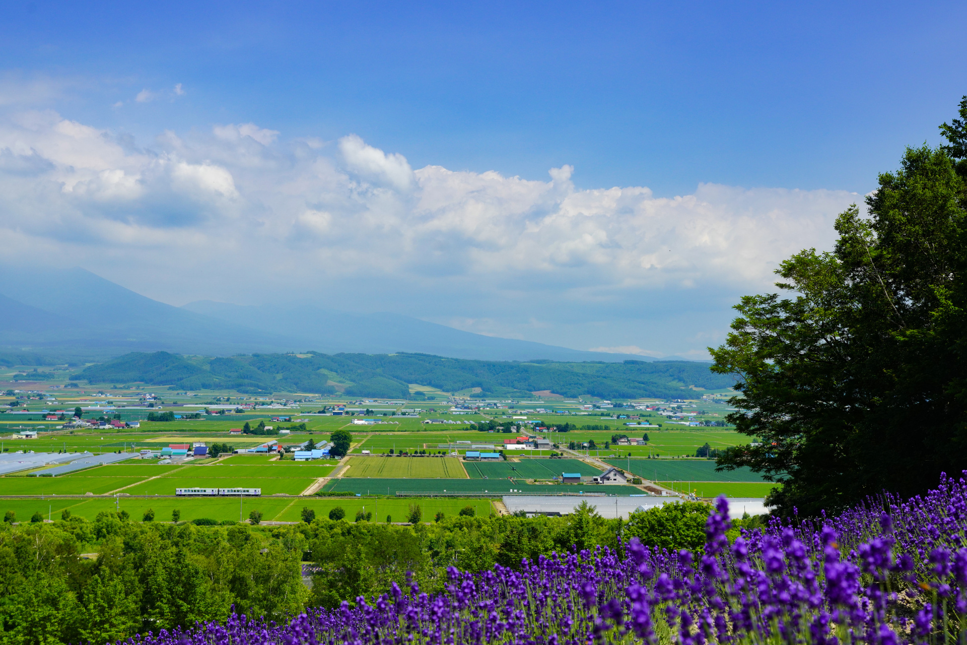 ソニーα7R IV　FE 24-70mm F2.8 GM　（46mm）　露出マニュアル　（F8、1/640秒）　ISO 400　WB:太陽光