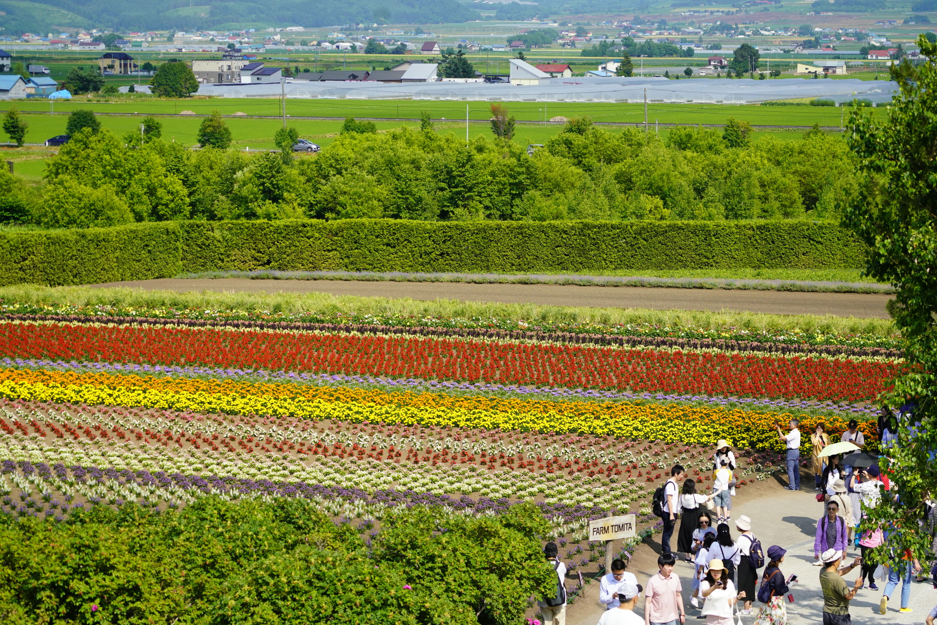 ソニーα7R IV　FE 100-400mm F4.5-5.6 GM OSS　（100mm）　絞り優先オート　（F4.5、1/2,500秒）　ISO 1250　WB:太陽光