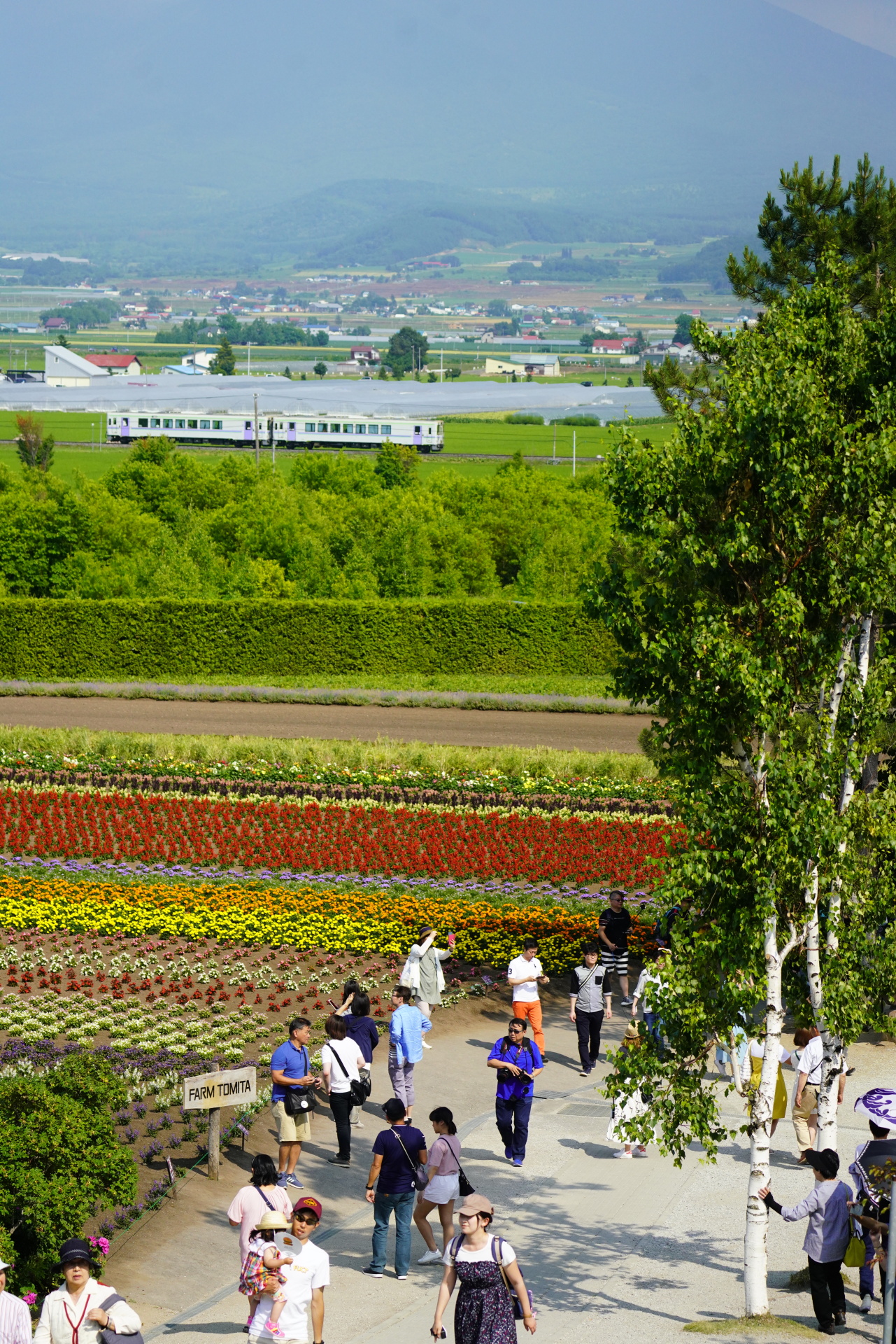 ソニーα7R IV　FE 100-400mm F4.5-5.6 GM OSS　（105mm）　絞り優先オート　（F4.5、1/3,200秒）　ISO 1250　WB:太陽光