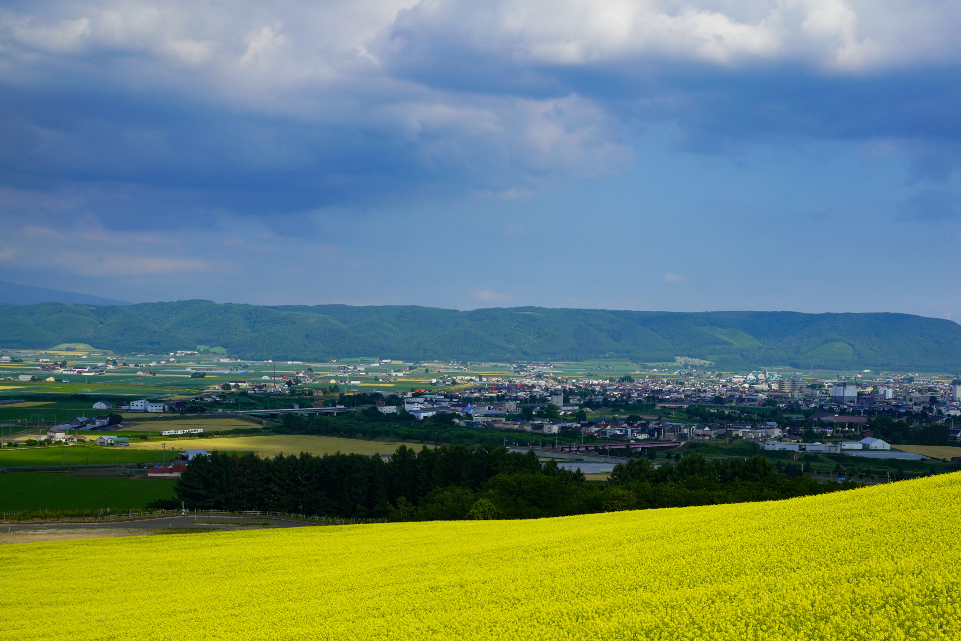 ソニーα7R IV　FE 24-70mm F2.8 GM　（40mm）　露出マニュアル　（F8、1/640秒）　ISO 400　WB:太陽光