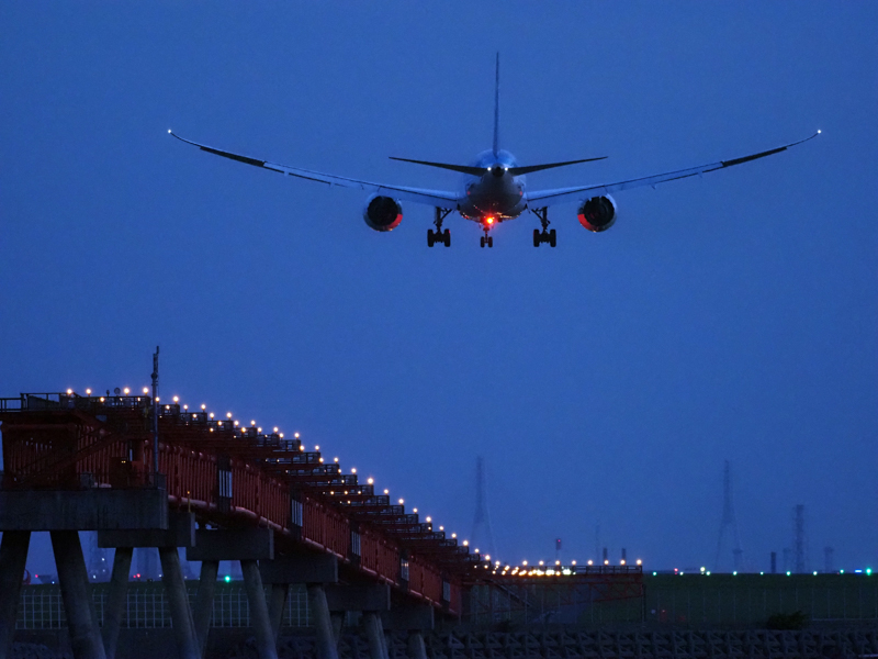 撮影：青木勝 ©Katsu Aoki<br><span class="fnt-85">OM-D E-M1X / M.ZUIKO DIGITAL ED 300mm F4.0 IS PRO / 300mm（600mm相当） / シャッター速度優先AE （1/500秒・F4.0・±0.0EV） / ISO 6400</span>