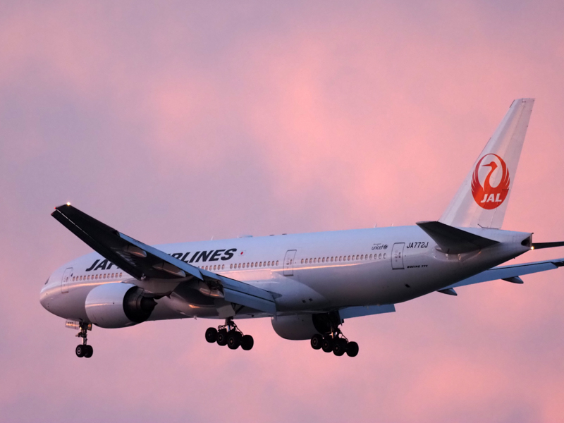 撮影：青木勝 ©Katsu Aoki<br><span class="fnt-85">OM-D E-M1X / M.ZUIKO DIGITAL ED 300mm F4.0 IS PRO / 300mm（600mm相当） / シャッター速度優先AE（1/640秒・F4.0・±0.0EV） / ISO 2000</span>