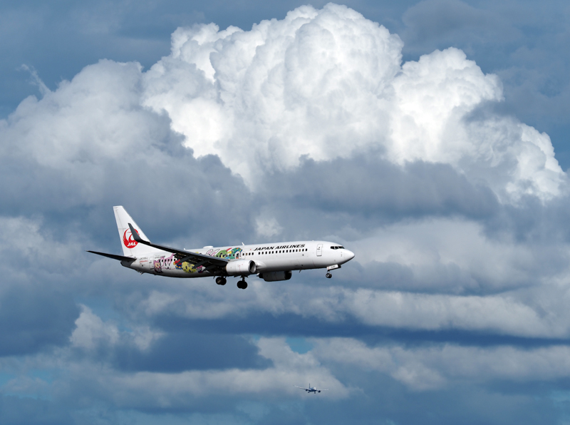 撮影：青木勝 ©Katsu Aoki<br><span class="fnt-85"><br>OM-D E-M1X / M.ZUIKO DIGITAL ED 40-150mm F2.8 PRO + MC-14 / 180mm（360mm相当） / シャッター速度優先AE （1/800秒・F8.0・-0.3EV） / ISO 100</span>