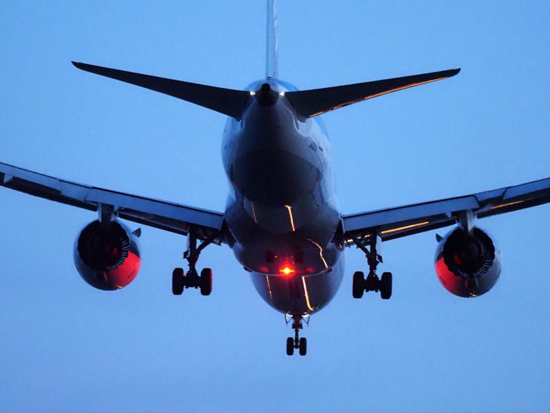 撮影：青木勝 ©Katsu Aoki<br><span class="fnt-85">OM-D E-M1X / M.ZUIKO DIGITAL ED 300mm F4.0 IS PRO / 300mm（600mm相当） / シャッター速度優先AE （1/500秒・F4.0・±0.0EV） / ISO 6400</span>