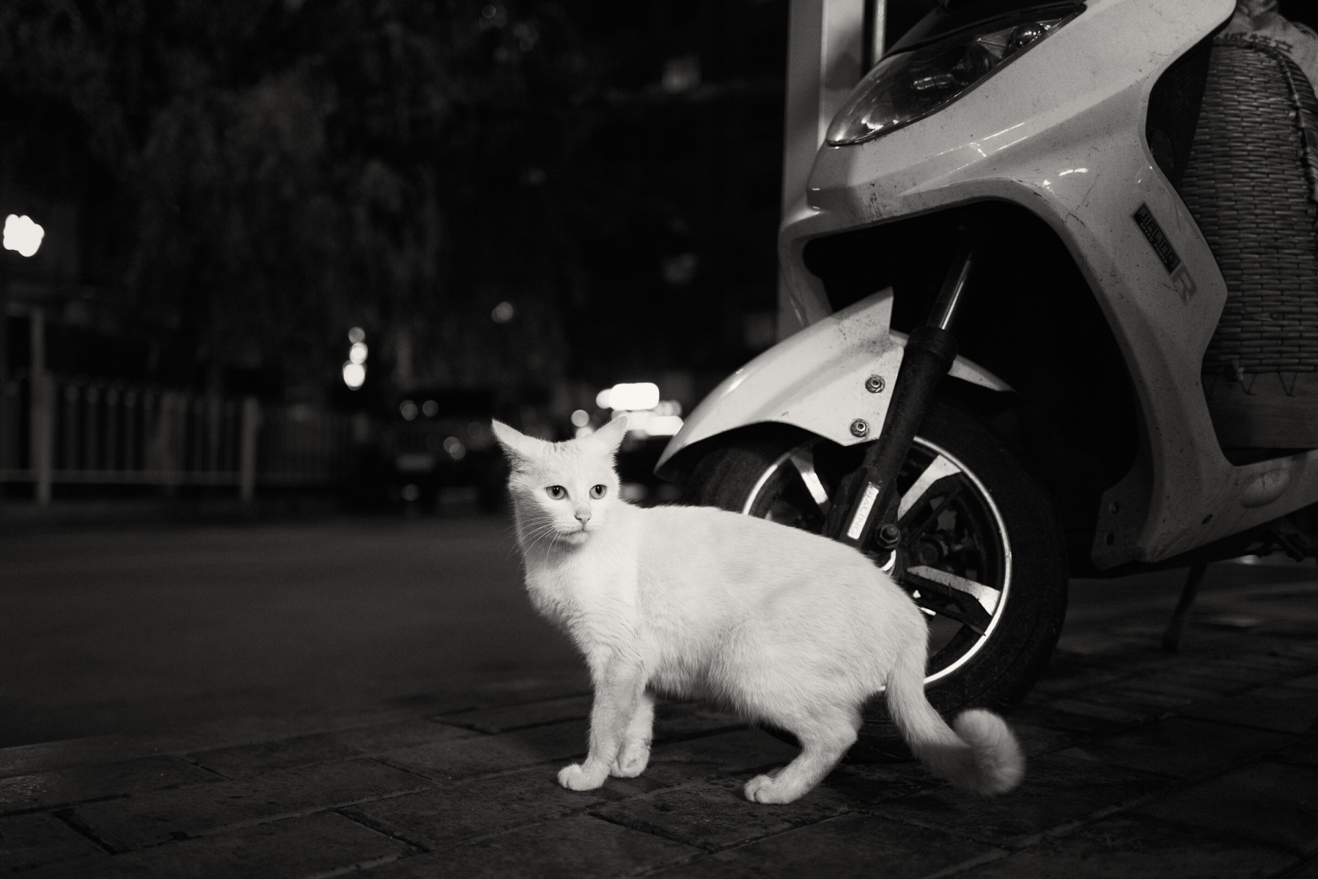 35mmクロップで撮影。光量が不足している場面でも迷わない高速AF。<br>ライカQ2　LEICA SUMMILUX F1.7/28mm（35mmクロップ） ISO3200　F1.7　1/250秒　WB:オート