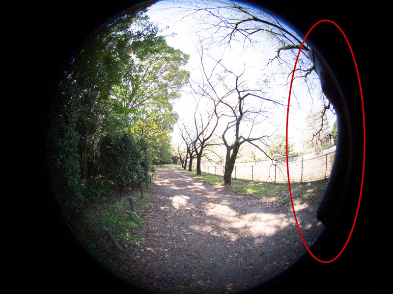 指を隠して撮影してみたがグリップが写ってしまった。（OM-D E-M1 Mark II使用。撮影後に明るく補正）