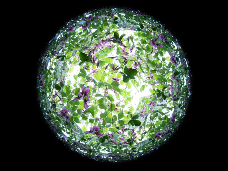 屋外で撮影。左手に万華鏡を持って撮影をしたので、ちょっと撮りづらかった。