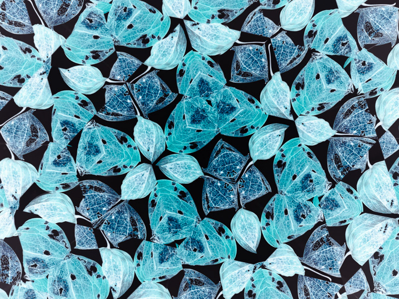 M.ZUIKO DIGITAL 17mm F1.8で撮影