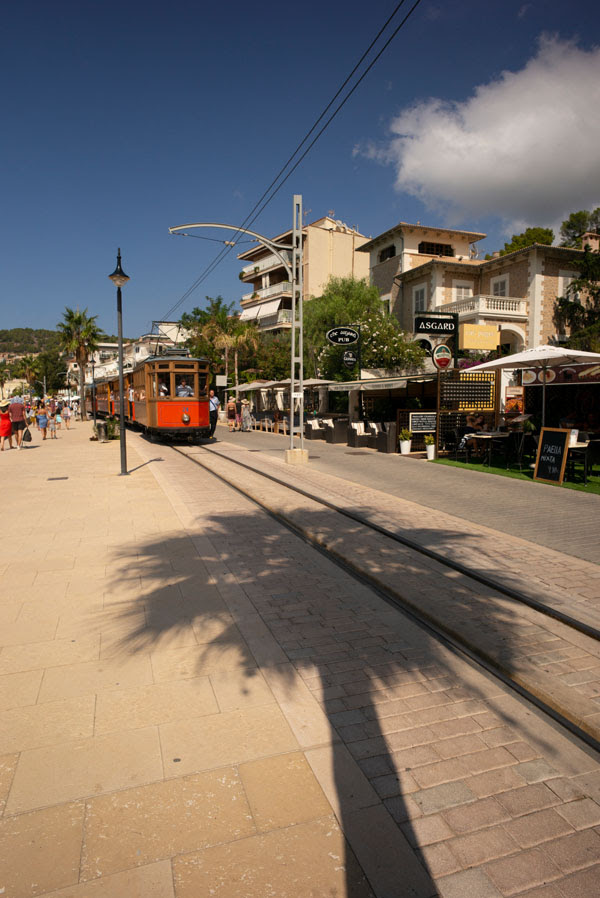 ライカM-P（Typ240）　ELMARIT-M 21mm F2.8 ASPH.　絞り優先オート（F11、1/2000秒）　ISO 800　WB:日陰　<a href="https://goo.gl/maps/4GXa58WmuMAnsZAR8" class="n" target="_blank">[Google マップ]</a>