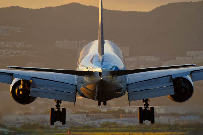 撮影：佐々木豊<br><span class="fnt-90">α7 III / FE 200-600mm F5.6-6.3 G OSS / 600mm / マニュアル露出（1/800秒・F6.3） / ISO 400</span>