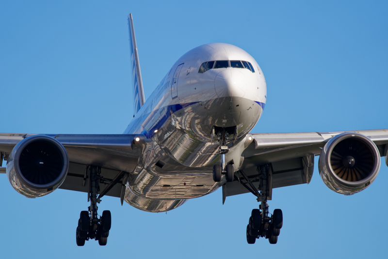 撮影：佐々木豊<br><span class="fnt-90">α7 III / FE 200-600mm F5.6-6.3 G OSS / 600mm / マニュアル露出（1/800秒・F7.1） / ISO 200</span>