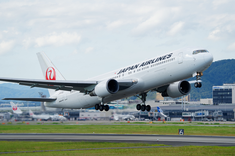 撮影：佐々木豊<br><span class="fnt-90">α7 III / FE 200-600mm F5.6-6.3 G OSS / 248mm / マニュアル露出（1/800秒・F5.6） / ISO 320</span>