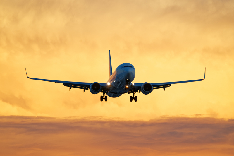 撮影：佐々木豊<br><span class="fnt-90">α7 III / FE 200-600mm F5.6-6.3 G OSS / 353mm / マニュアル露出（1/500秒・F6.3） / ISO 400</span>