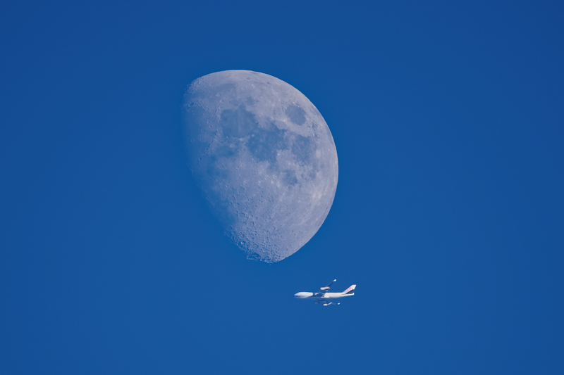 撮影：佐々木豊<br><span class="fnt-90">α7 III / FE 200-600mm F5.6-6.3 G OSS / 900mm（クロップ撮影） / マニュアル露出（1/800秒・F6.3） / ISO 200 / トリミングあり</span>